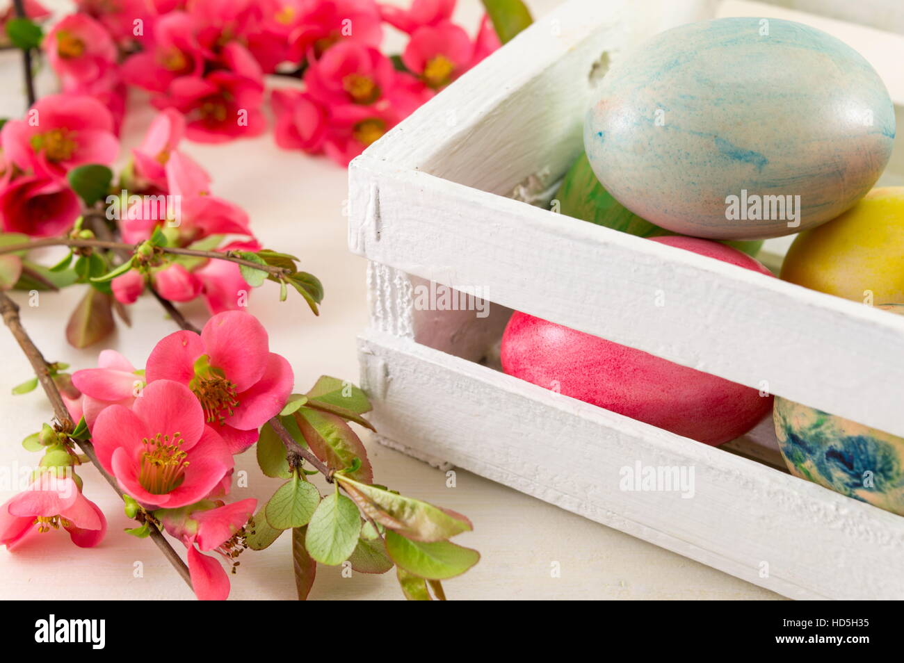 Les oeufs de Pâques peints et fleurs rose japonais Banque D'Images