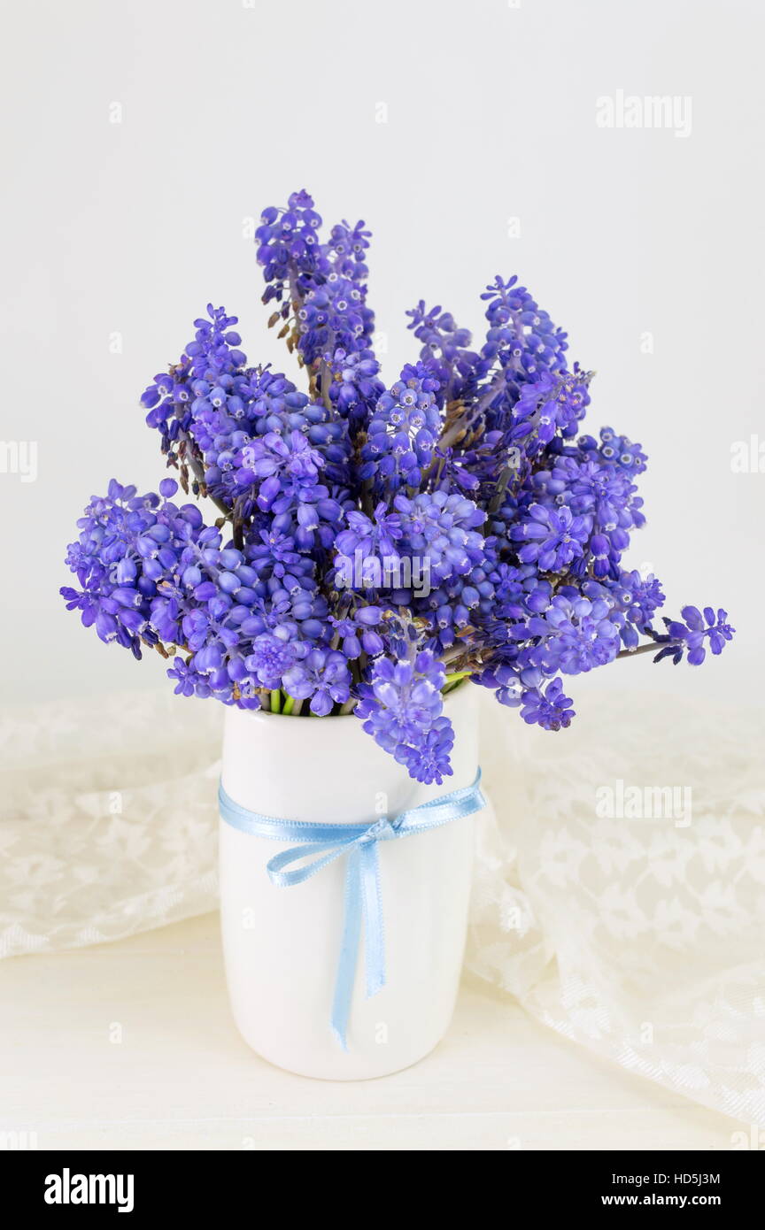 Bluebell flowers bouquet dans un vase blanc Banque D'Images