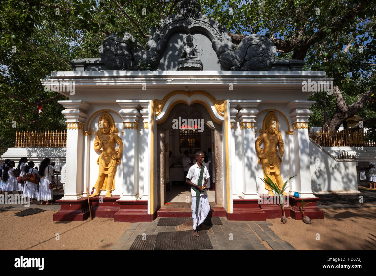 Salle de prière, Jaya Sri Maha Bodhi derrière, figuier sacré, ville sacrée d'Anuradhapura, Sri Lanka, Banque D'Images