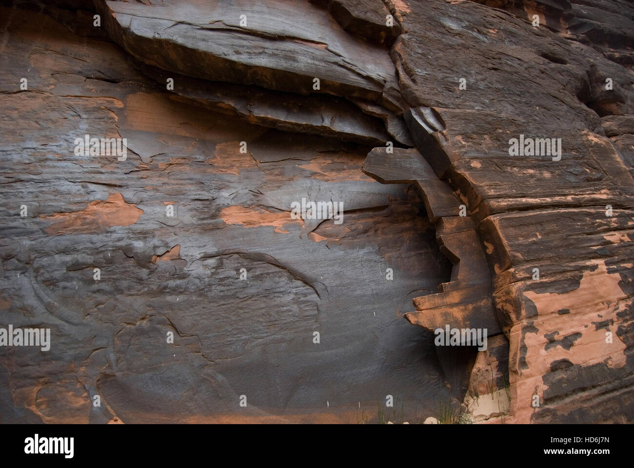 Les affleurements de grès inhabituelles avec vernis du désert (oxyde de manganèse). Le Parc National du Grand Canyon, Arizona, USA. Banque D'Images