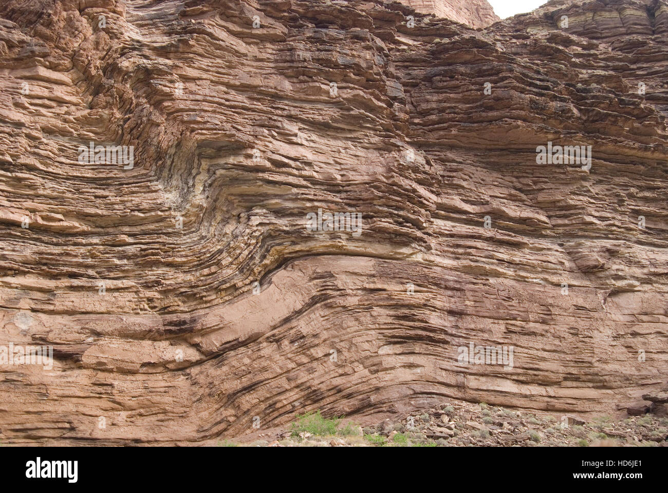 Les roches sédimentaires plissées de l'intérieur de la Grand Canyon de la rivière Colorado. Banque D'Images