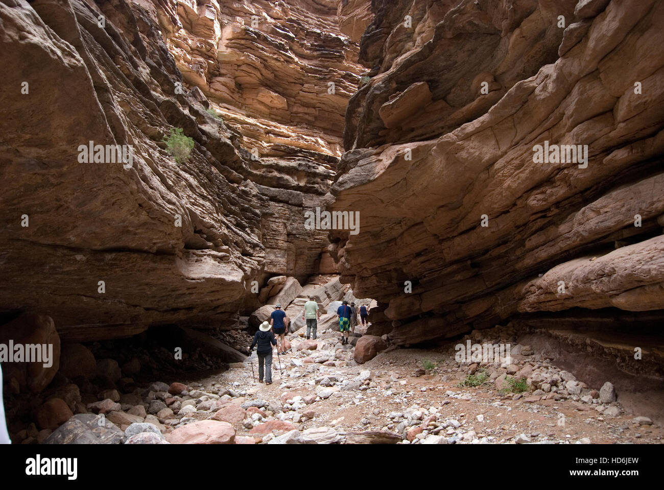 Un groupe de randonnée une fente étroite canyon qui bifurque du Grand Canyon, le Parc National du Grand Canyon, Arizona, USA. Banque D'Images