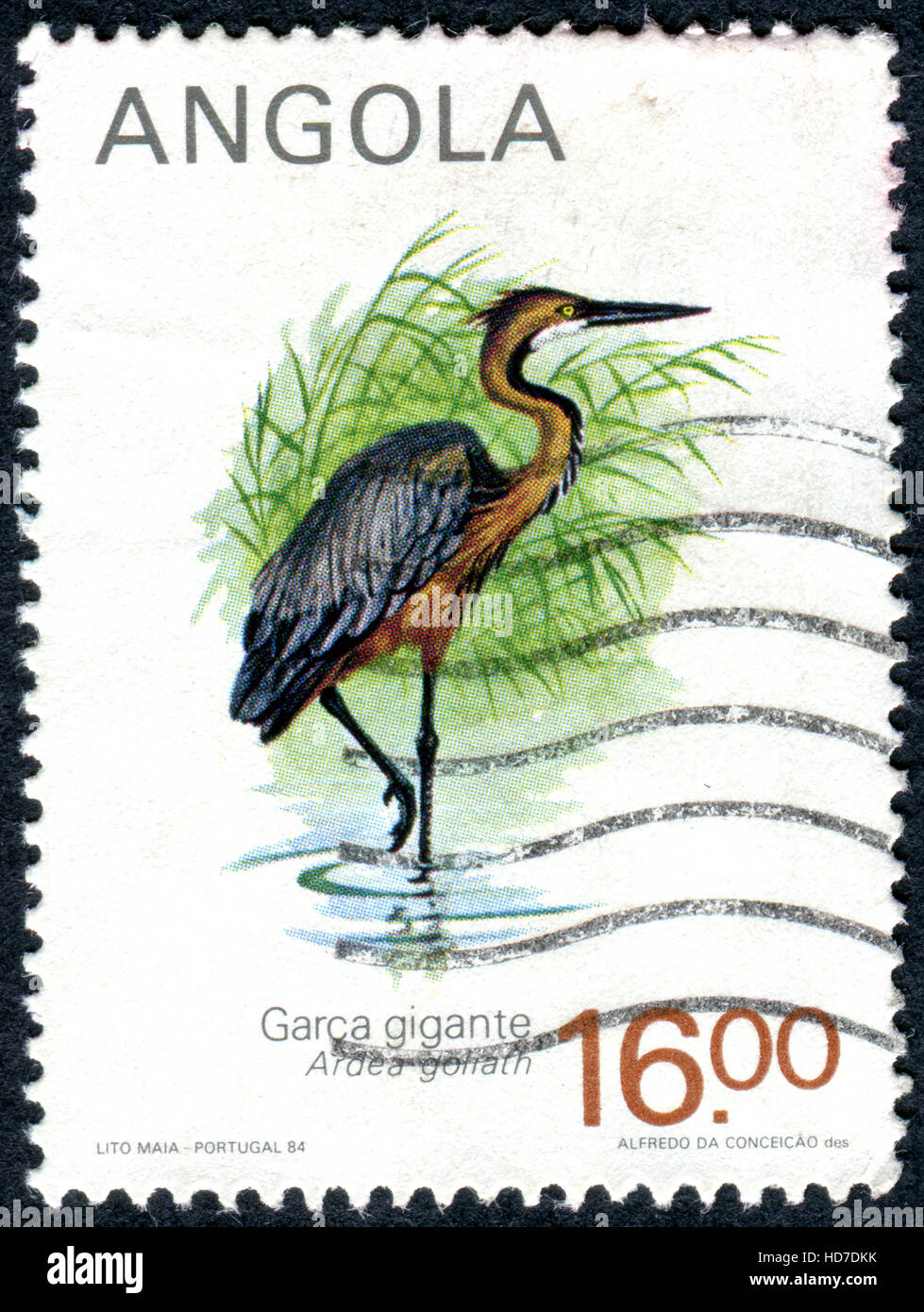 ANGOLA - circa 1984 : timbre imprimé en Angola présente le Héron goliath (Ardea goliath), vers 1984 Banque D'Images