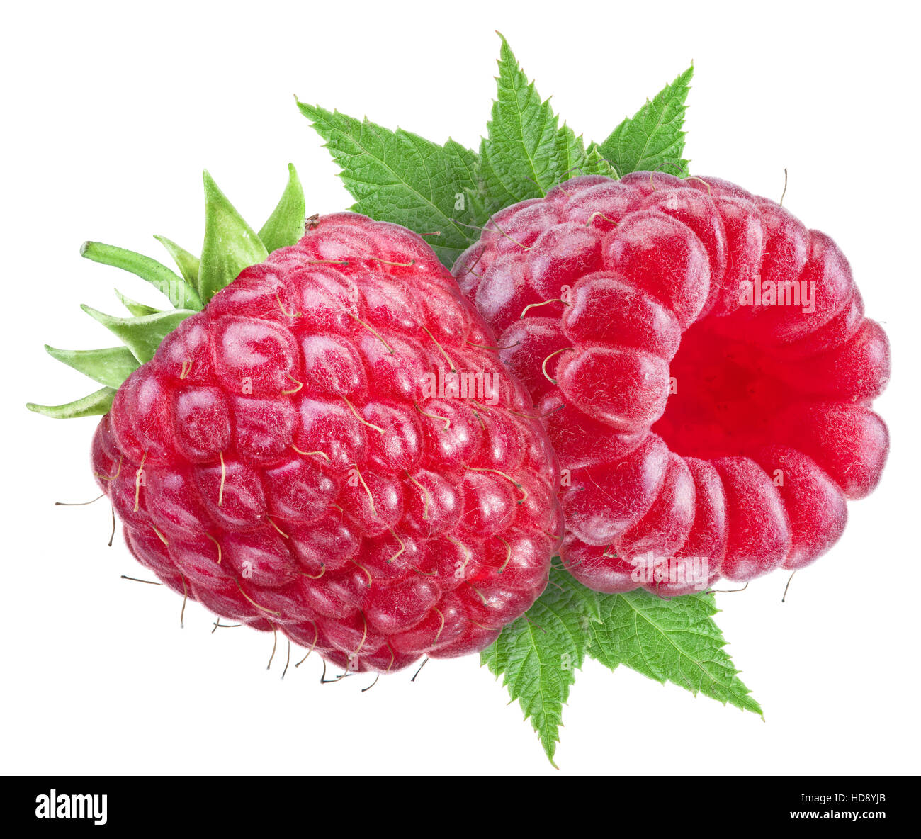 Deux fruits de framboise mûre. Fichier contient des chemins de détourage. Banque D'Images