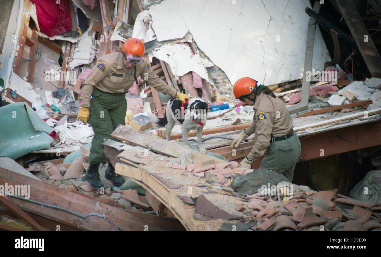 Latinos vivent dans des tentes et des voitures à l'extérieur de leurs immeubles détruits après le tremblement de terre de Northridge en 1994 dans la région de Los Angeles. (Photo de Jeremy Hogan) Banque D'Images