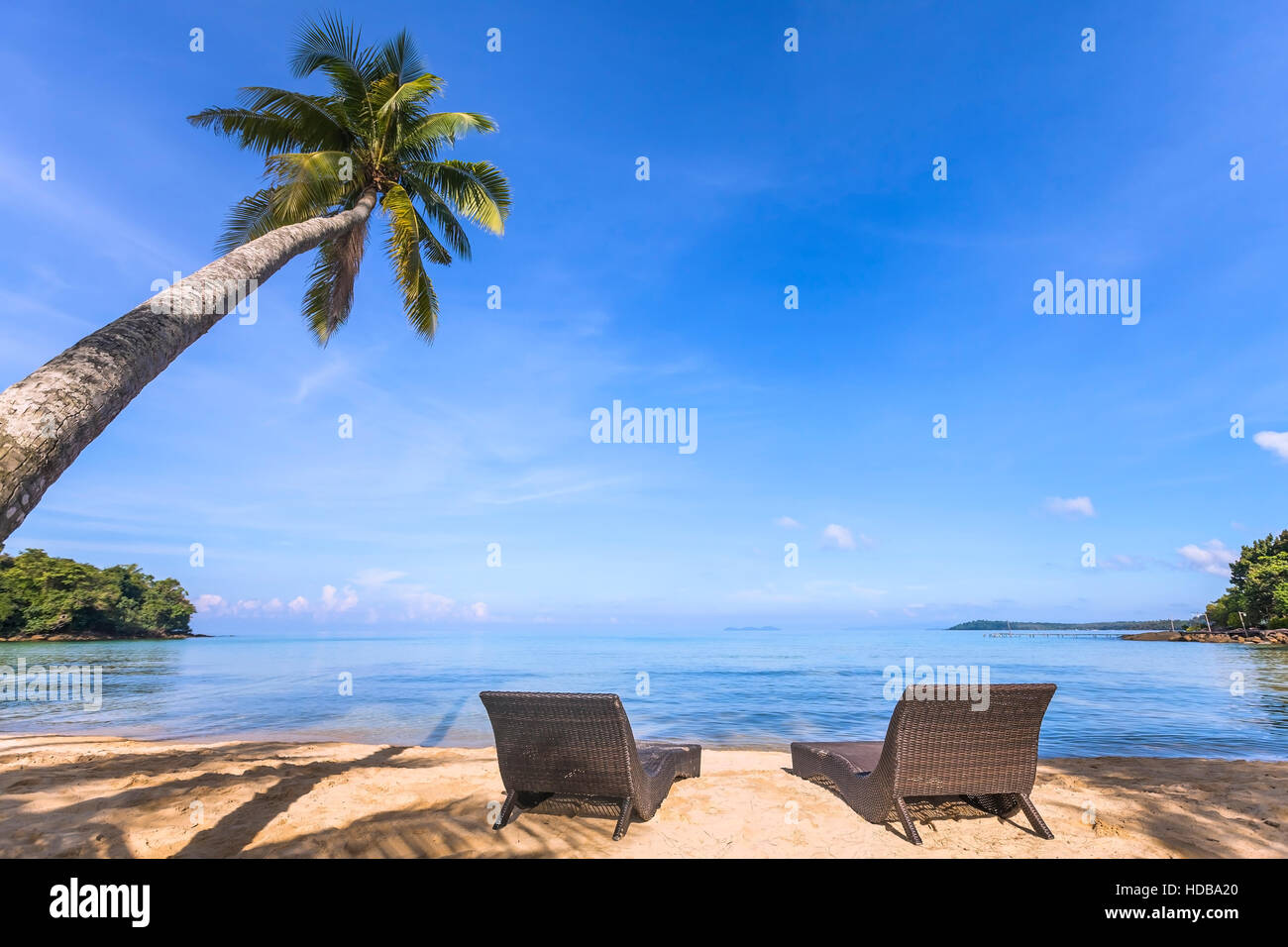 Paradise tropical Beach avec un magnifique palmier et deux transats sur le sable, des vacances reposantes Banque D'Images