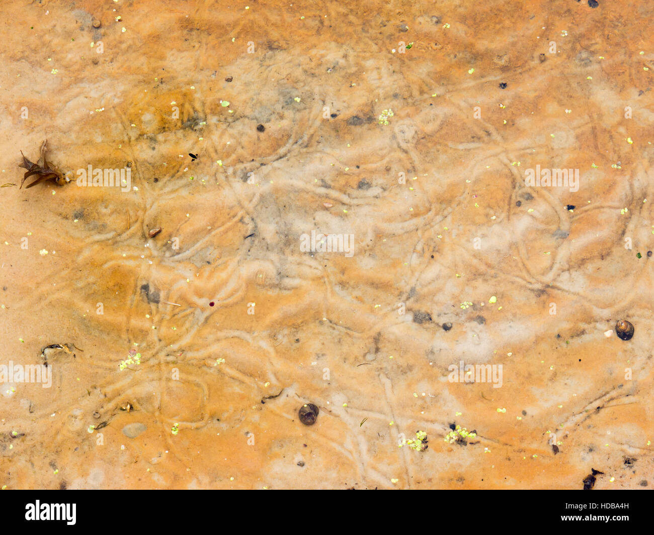 Le fond de la rivière et la texture d'arrière-plan. Banque D'Images