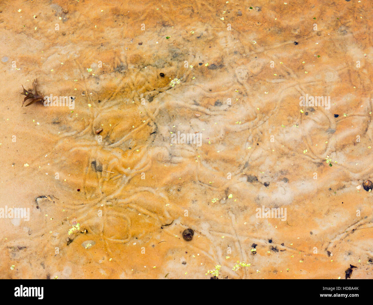 Le fond de la rivière et la texture d'arrière-plan. Banque D'Images