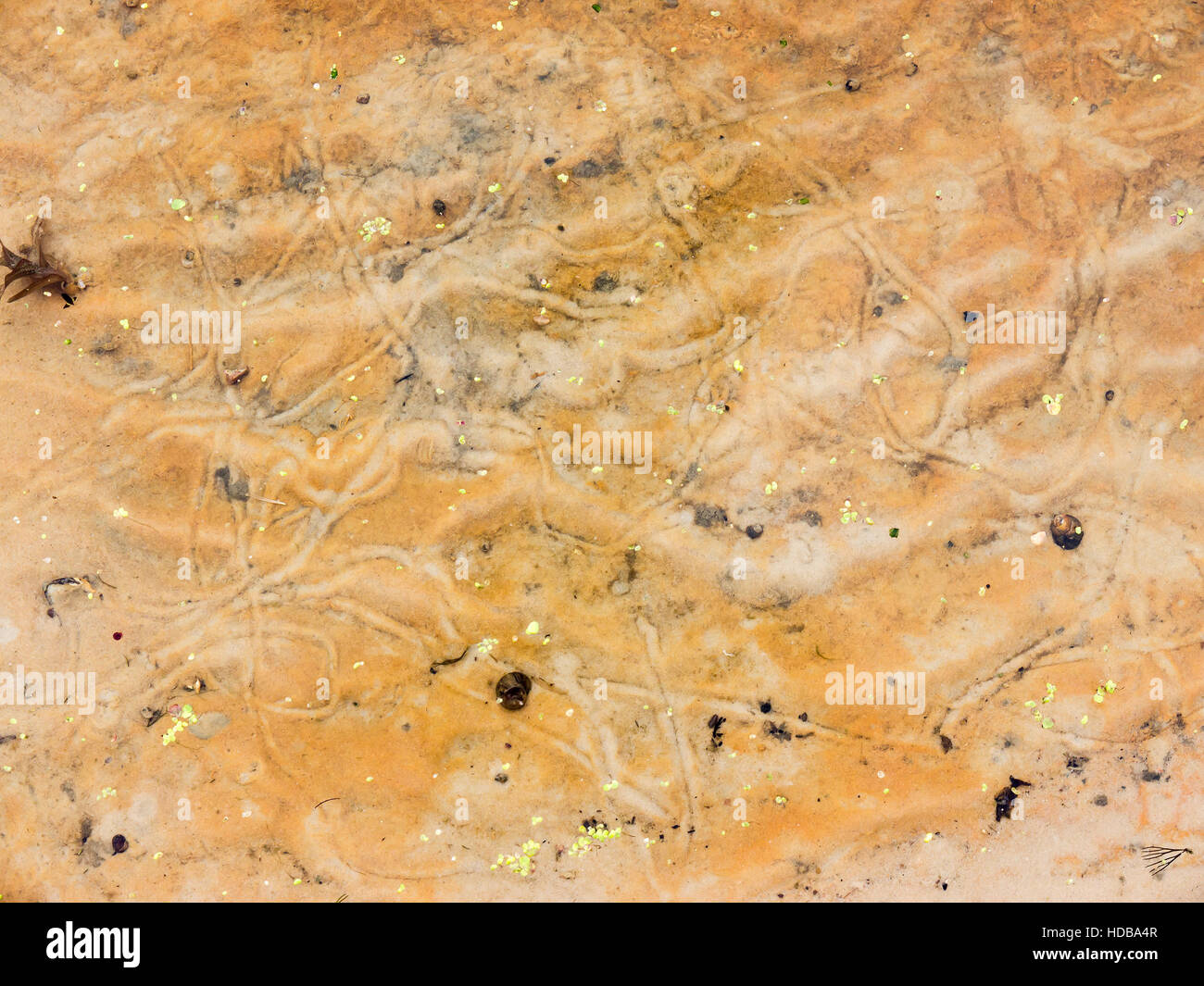 Le fond de la rivière et la texture d'arrière-plan. Banque D'Images