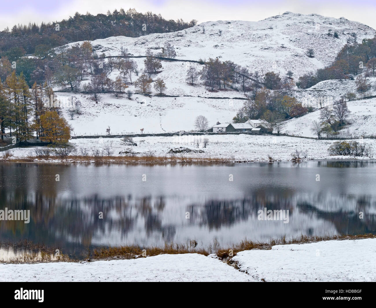 Peu de neige en Tarn Langdale, Lake District, Cumbria, England, UK. Banque D'Images