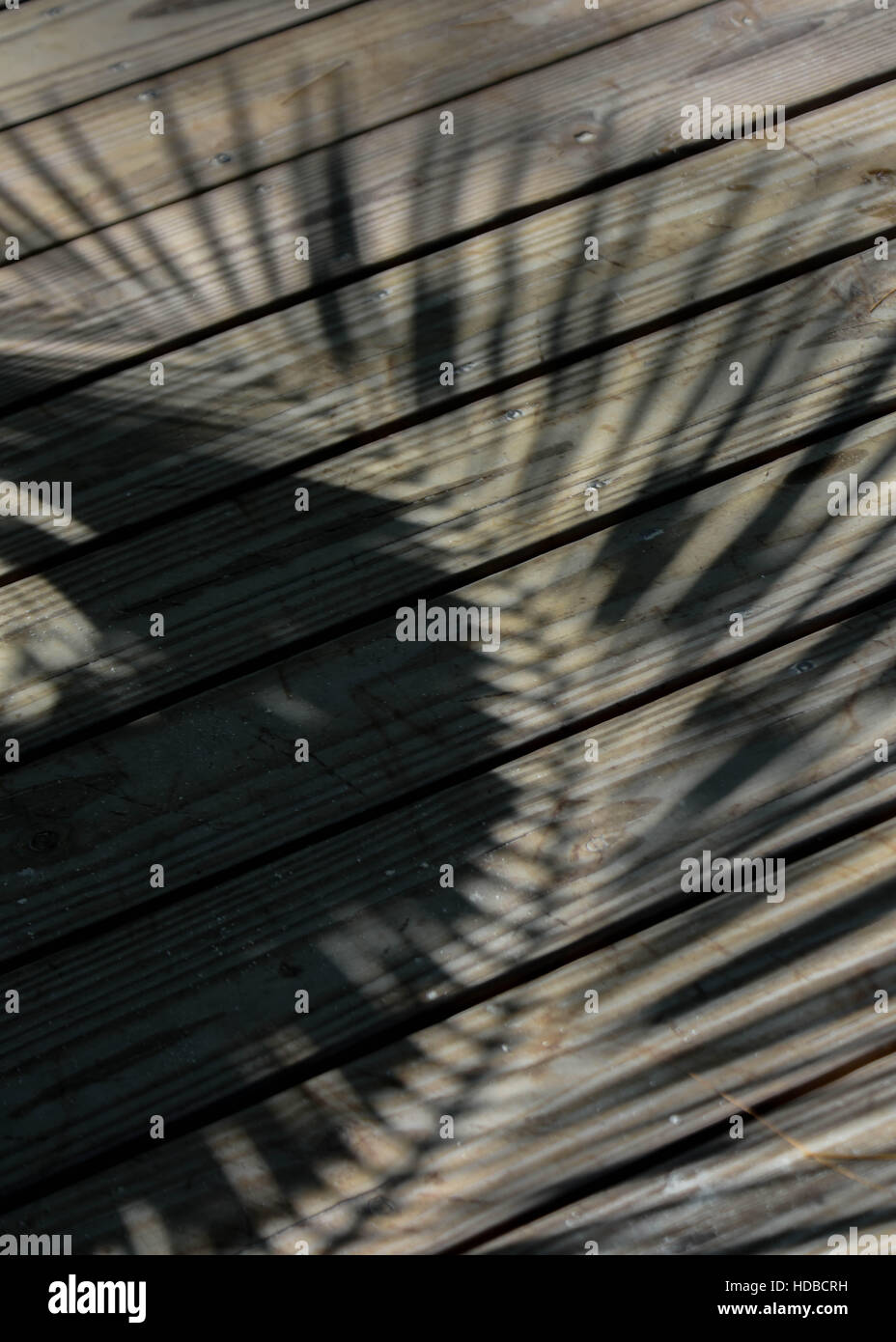 L'ombre des feuilles de palmier créer un motif sur la promenade d'un resort sur l'île des Caraïbes des îles Turks et Caicos | paradis tropical / Grace Bay Banque D'Images