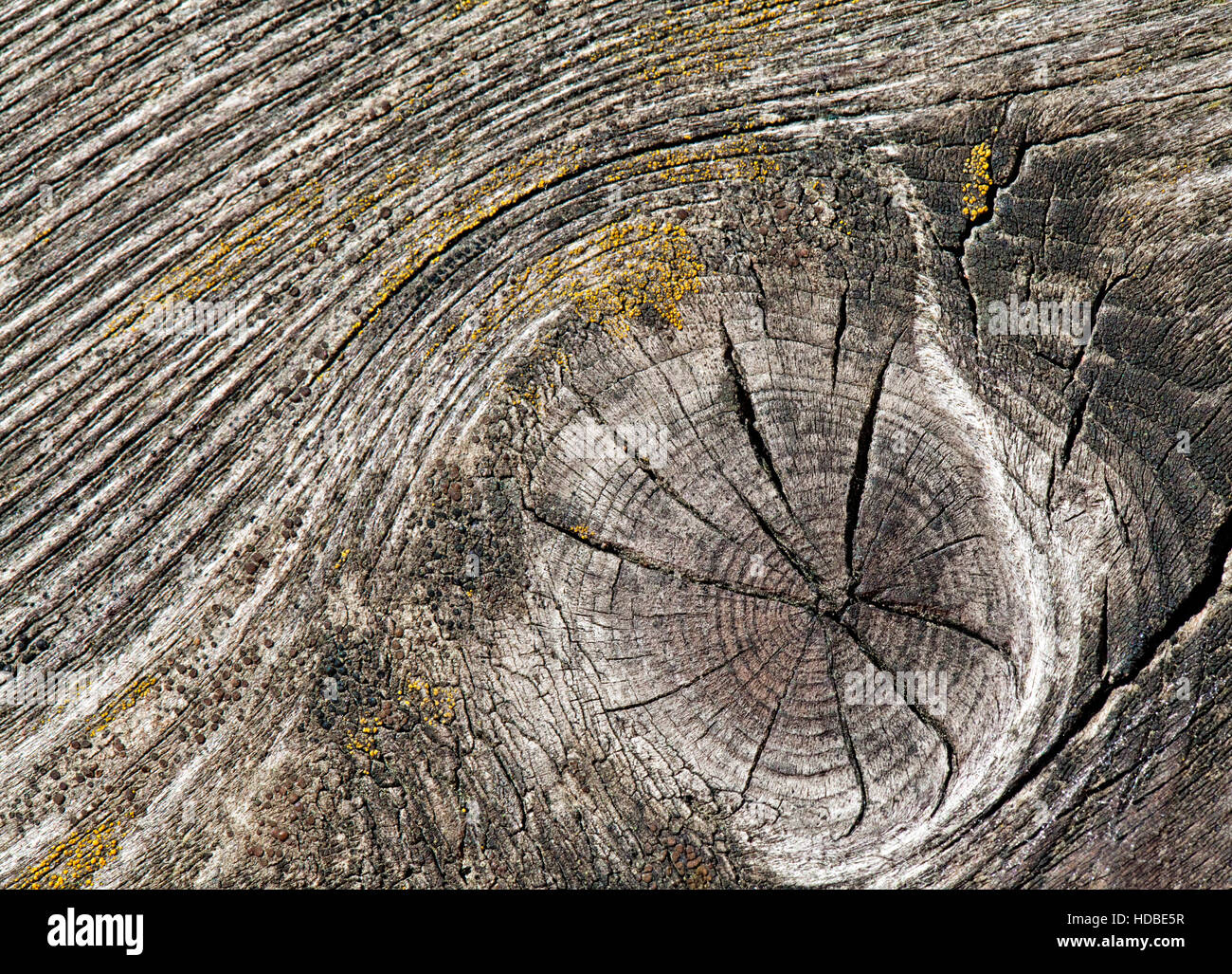 Gros plan du vieux bois fissuré ou d'arrière-plan pour la texture Banque D'Images