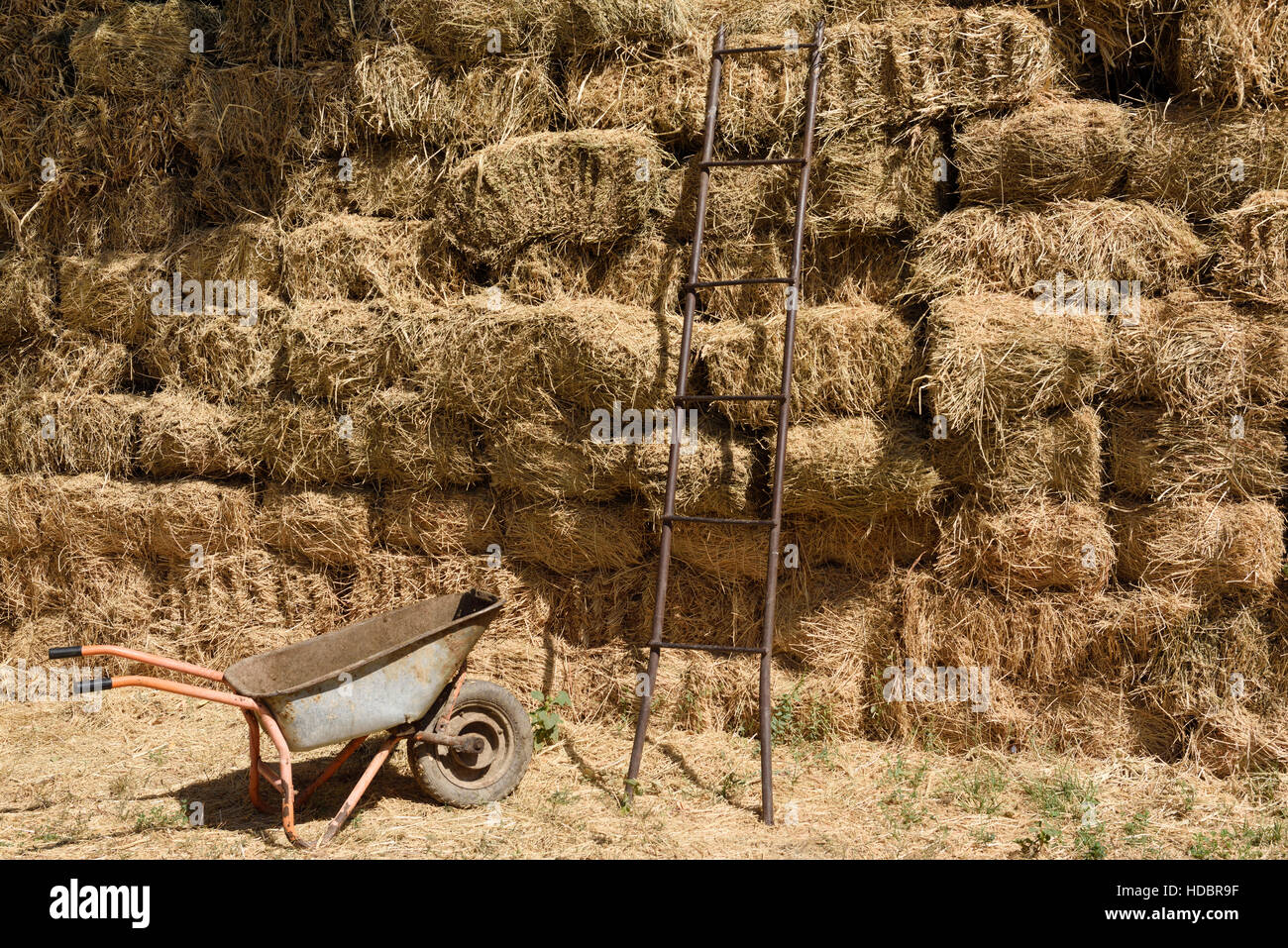 Brouette en acier et de l'échelle à côté d'un mur de bottes de foin Shymkent Kazakhstan du Sud Région Banque D'Images