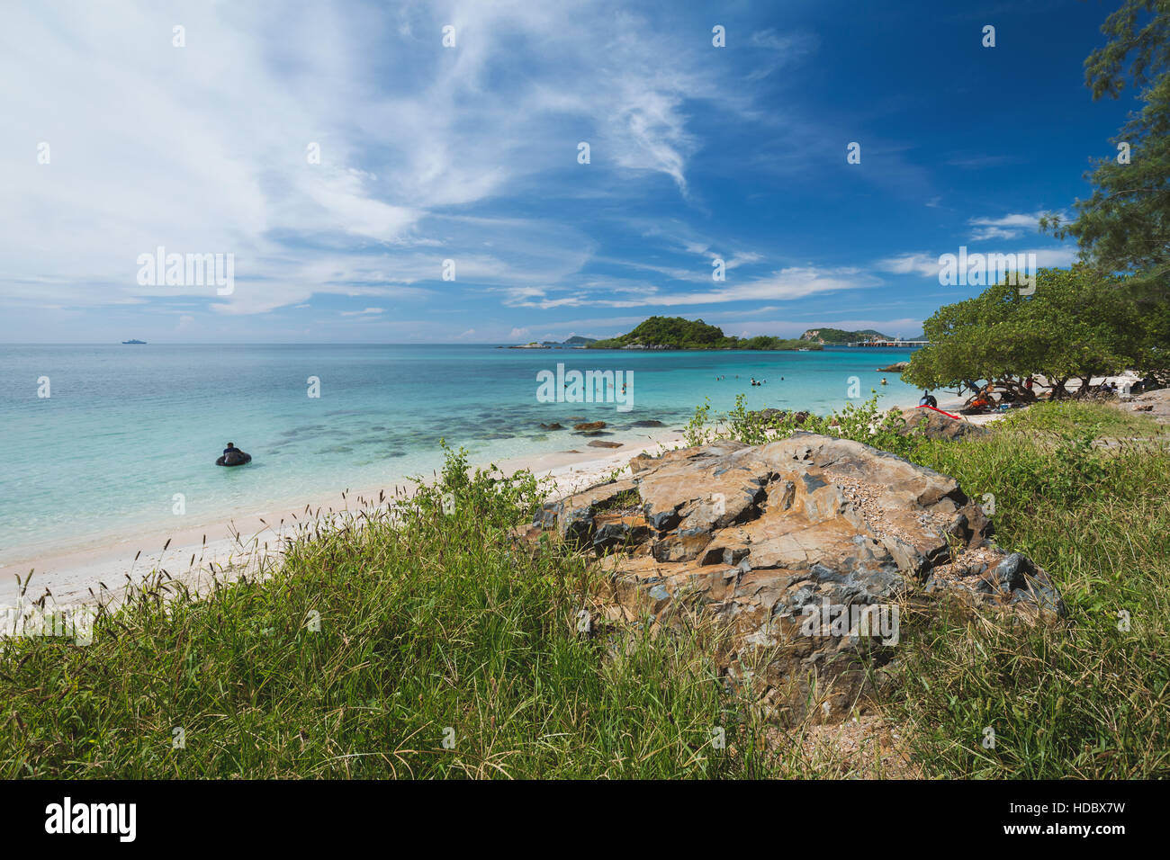 Arbre vert et l'herbe avec rocher sur la plage de la mer bleu clair avec fond de ciel bleu nuageux. Banque D'Images