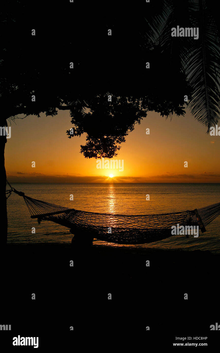 L'hamac. L'île de Lifuka. Les îles Ha'apai. Tonga. Polynésie française Banque D'Images
