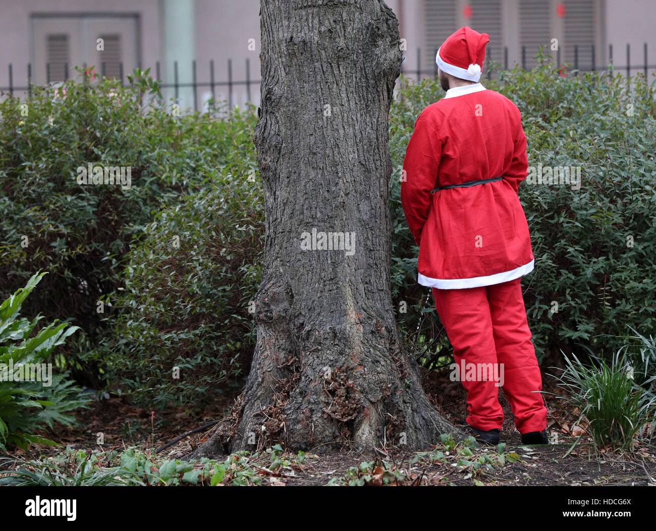 A Santa soulage lui-même dans l'arrêt Harrington Square Gardens à Camden comme des centaines de fêtards habillés en Père Nöel prendre part à la parade de Noël Santacon. Banque D'Images