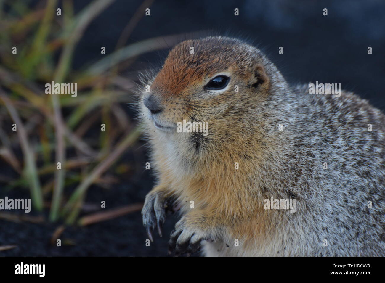 La péninsule du Kamtchatka en Russie Banque D'Images