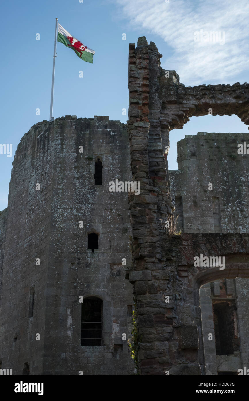 Drapeau gallois volant au-dessus des ruines du château, vallée de la Wye. Banque D'Images