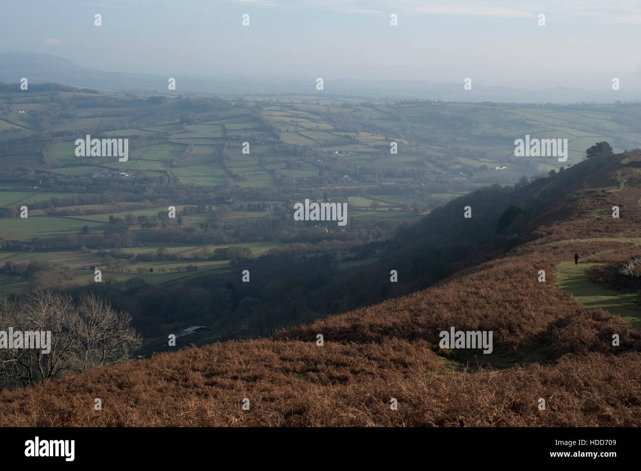 Wye Valley vu de la Montagne Noire, en fin d'après-midi. Banque D'Images