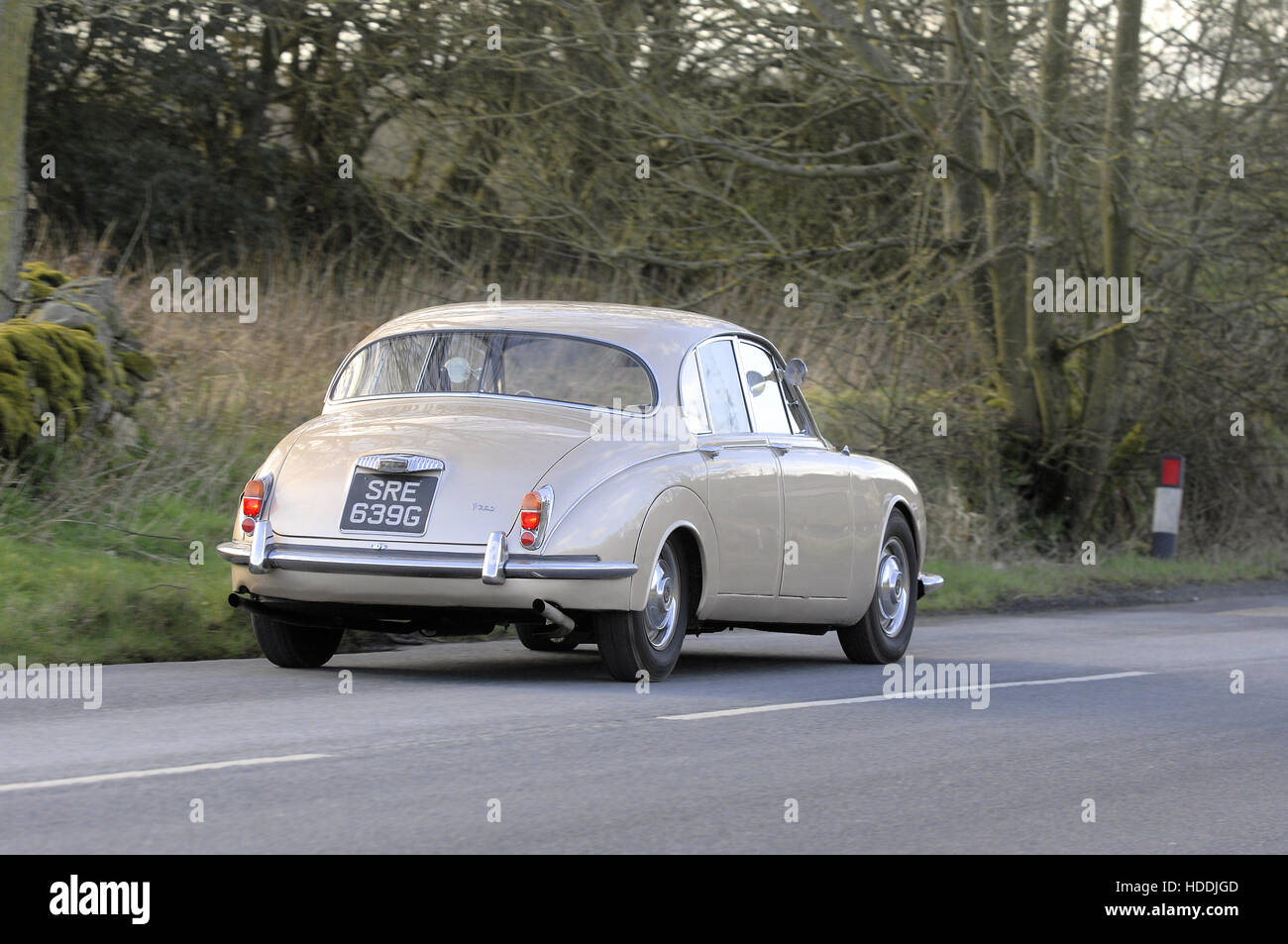 Daimler 2.5 V8 saloon or 250 voitures action Banque D'Images