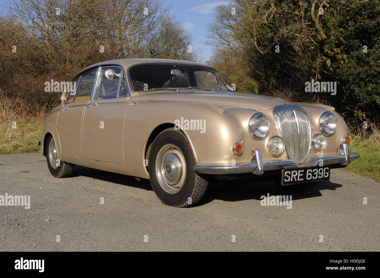 Daimler 2.5 V8 berline 250 Banque D'Images