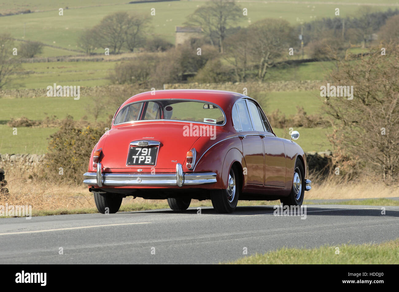 Jaguar Mk2 rouge en action Banque D'Images