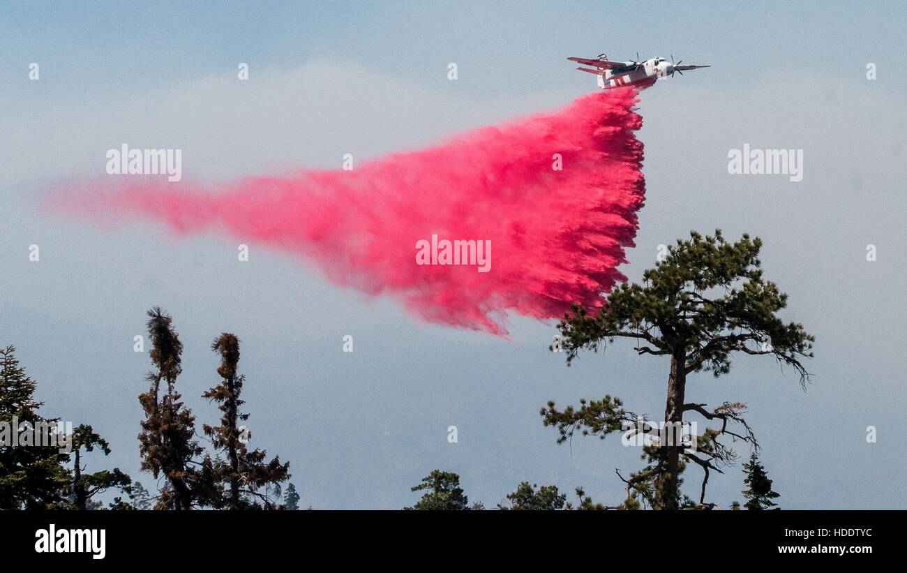 Chute d'un avion de couleur rose sur le feu feu de bois de cèdre, tout en survolant la forêt nationale de Sequoia Montagne Noire 23 août 2016 près d'Alta Sierra, en Californie. Banque D'Images