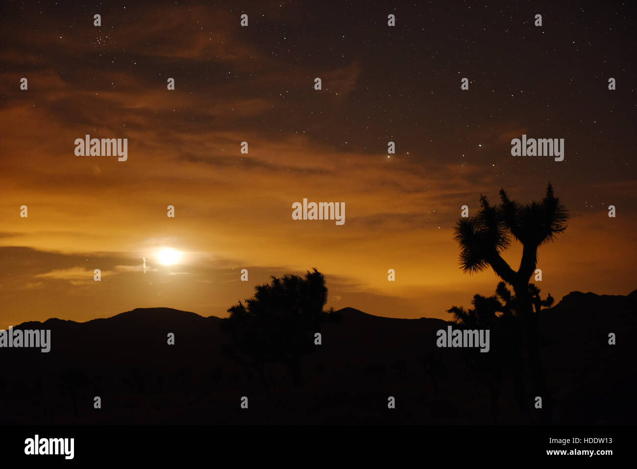 La lune et les étoiles apparaissent comme le coucher de soleil sur la roche au Joshua Tree National Park le 7 juin 2016 dans Twentynine Palms, California. Banque D'Images