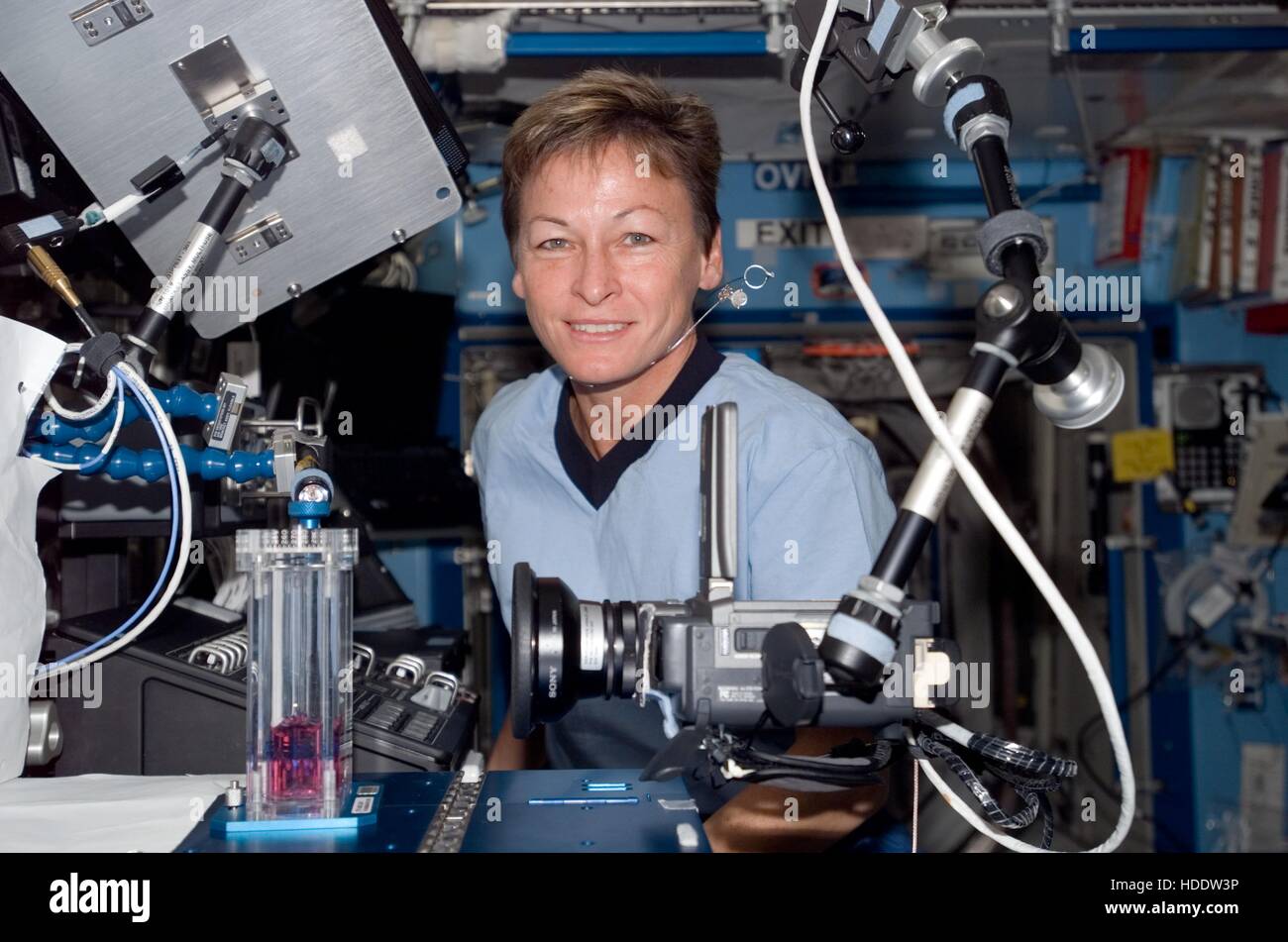 La Station spatiale internationale de la NASA L'astronaute américaine Peggy Whitson Expedition 16 effectue une expérience dans le laboratoire Destiny 22 octobre 2007 alors que dans l'orbite de la Terre. Banque D'Images