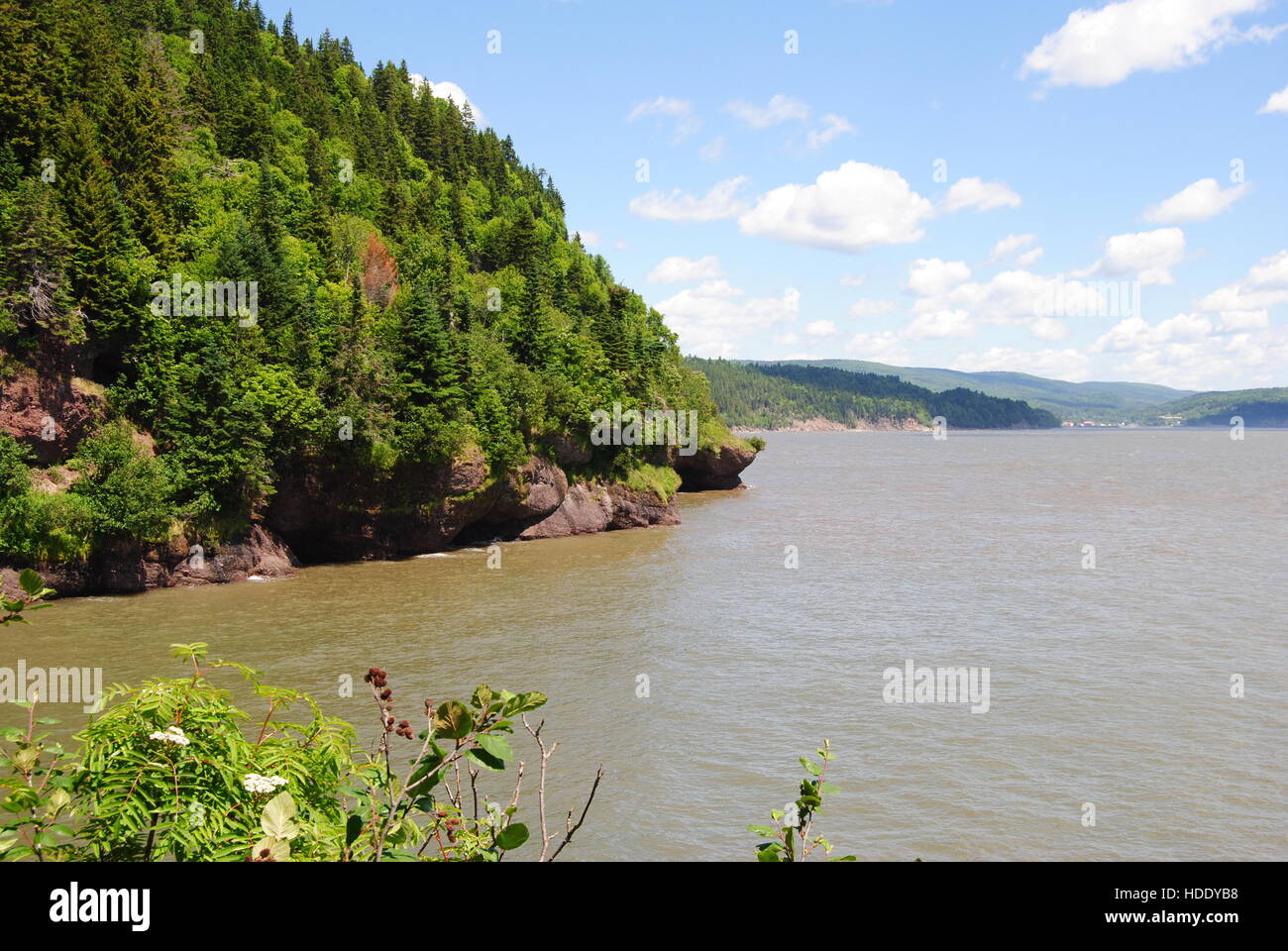Point d'Outlook à partir de la piste transcanadienne dans le Parc national fundy Nouveau-Brunswick Banque D'Images