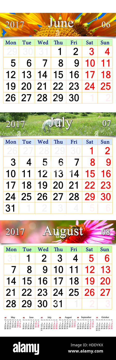 Calendrier pour Juin Juillet et août 2017 avec des photos de chevaux et de pâturage tournesol nectar d'abeille sur l'aster Banque D'Images