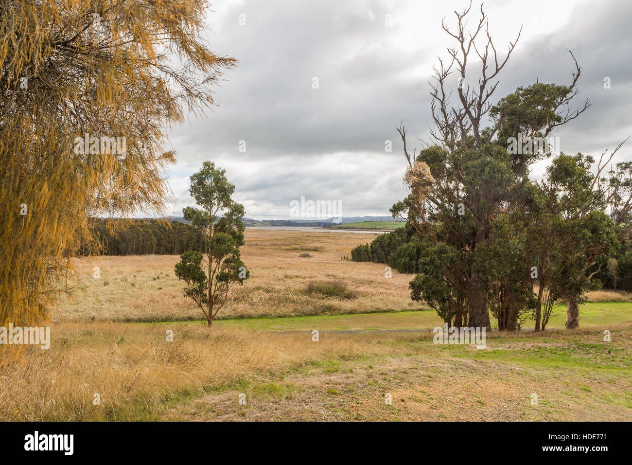 Vue depuis l'Île Tamar sur la Rivière Tamar à Launceston, Tasmania Banque D'Images