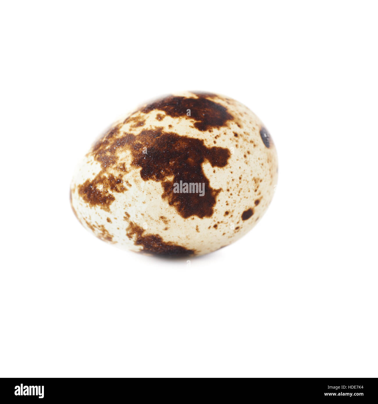 Oeuf de caille isolated over white background Banque D'Images