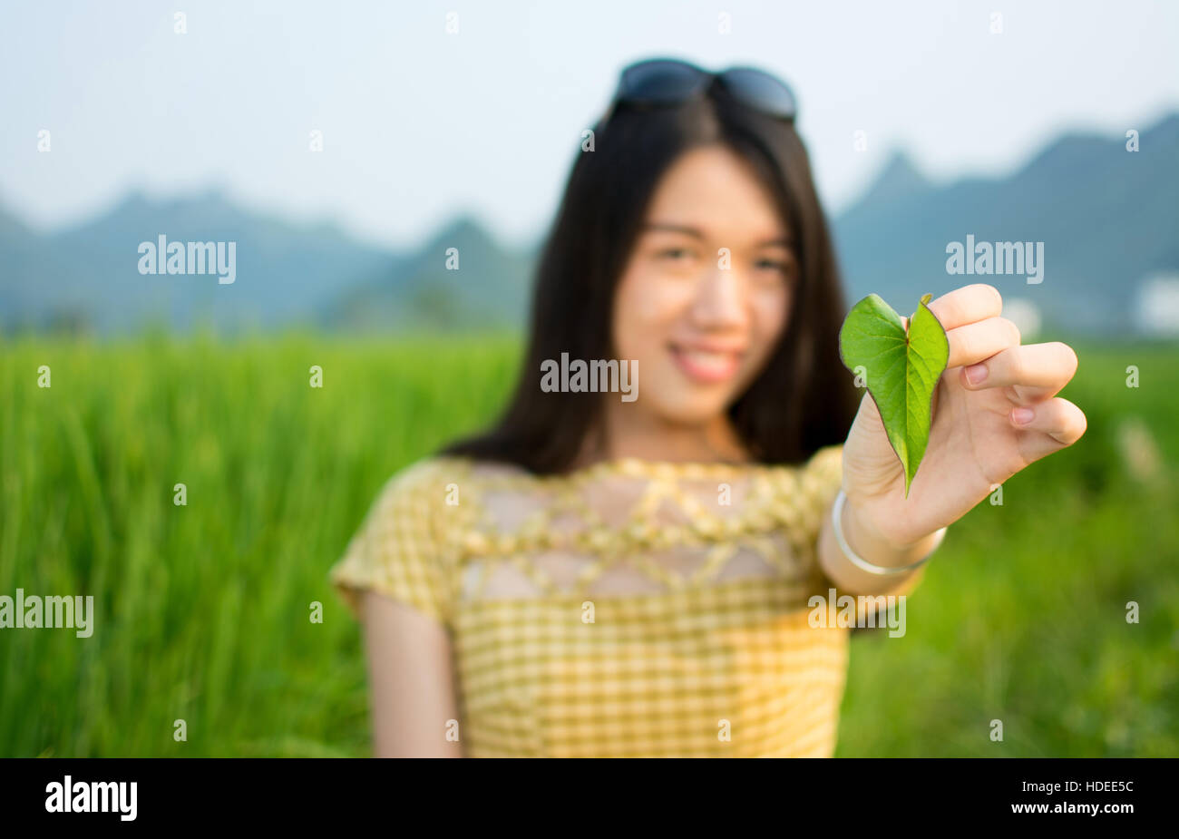 Happy girl holding leaf dans un champ de riz Banque D'Images