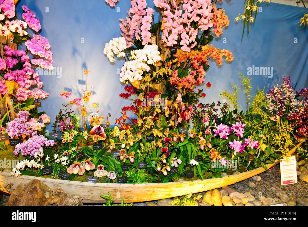 Chelsea Flower Show 2016,Vacherot & Lecoufle Orchidées,France Stand,Fleurs, Sculpture,Garden Design, exposition,cinq jours de l'événement, Banque D'Images