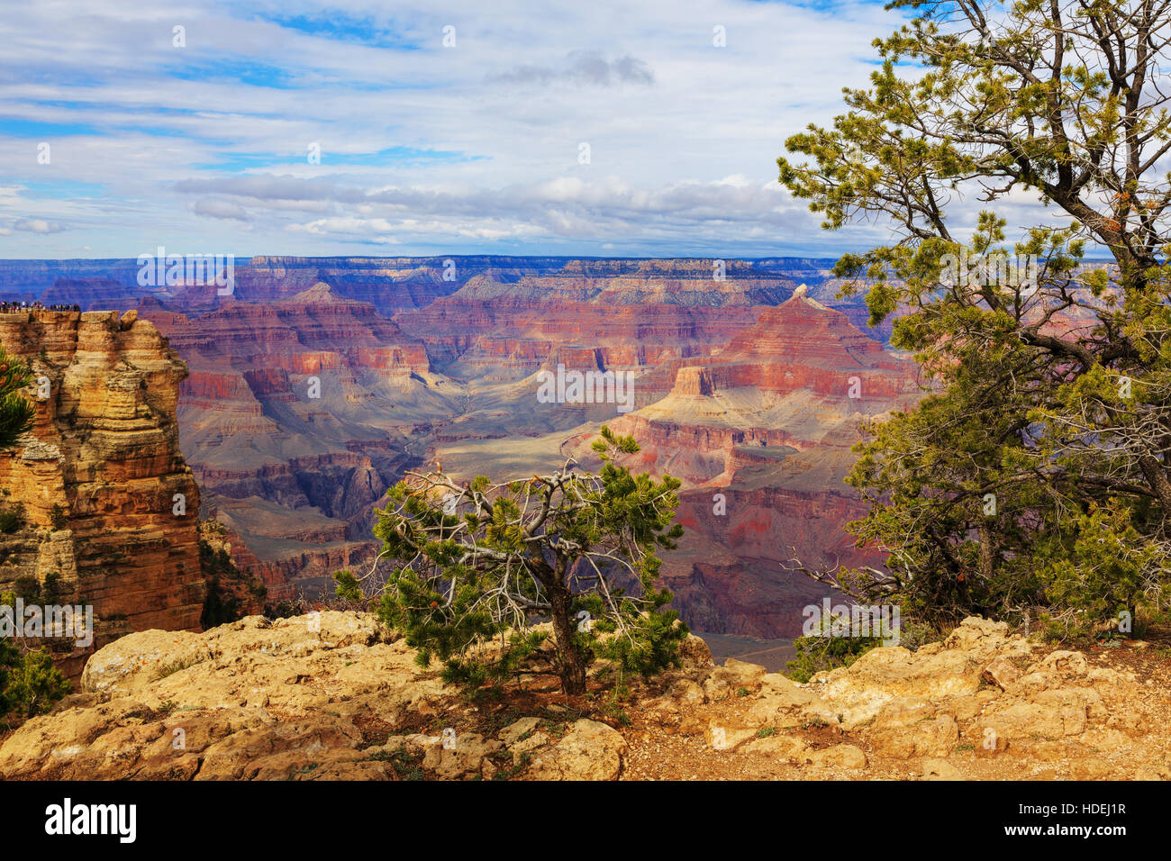 Belle vue sur Grand Canyon, South Rim, Arizona, United States Banque D'Images