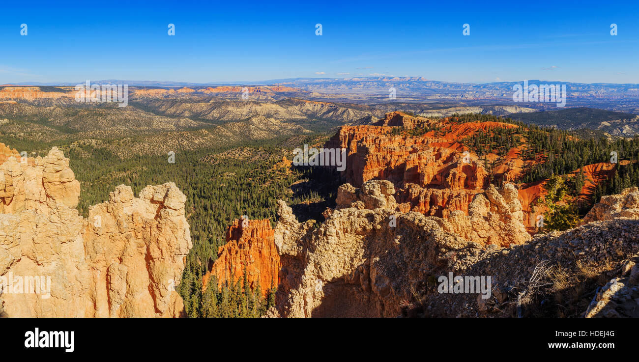 La formation de la roche merveilleuse. Les cheminées à Bryce Canyon National Park. L'Utah, United States Banque D'Images