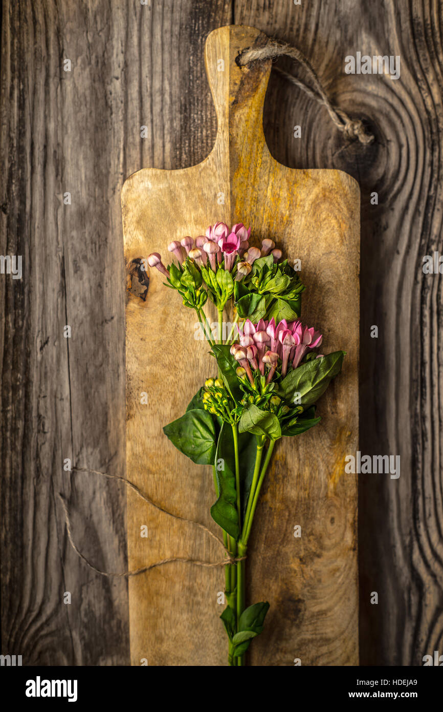 Fleur plante nature pétale de fleur belle adjudication Banque D'Images