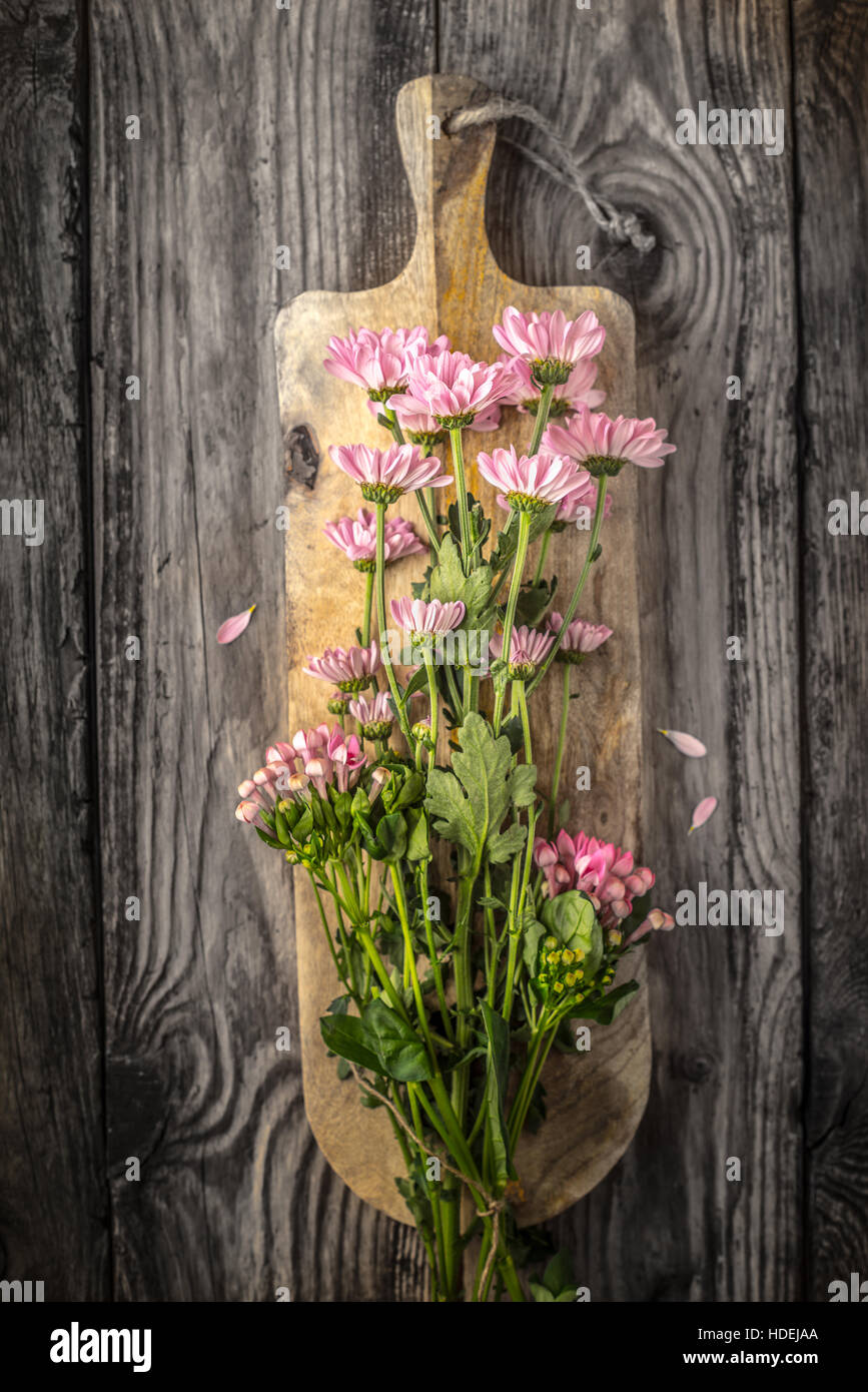 Fleur plante nature pétale de fleur belle adjudication Banque D'Images