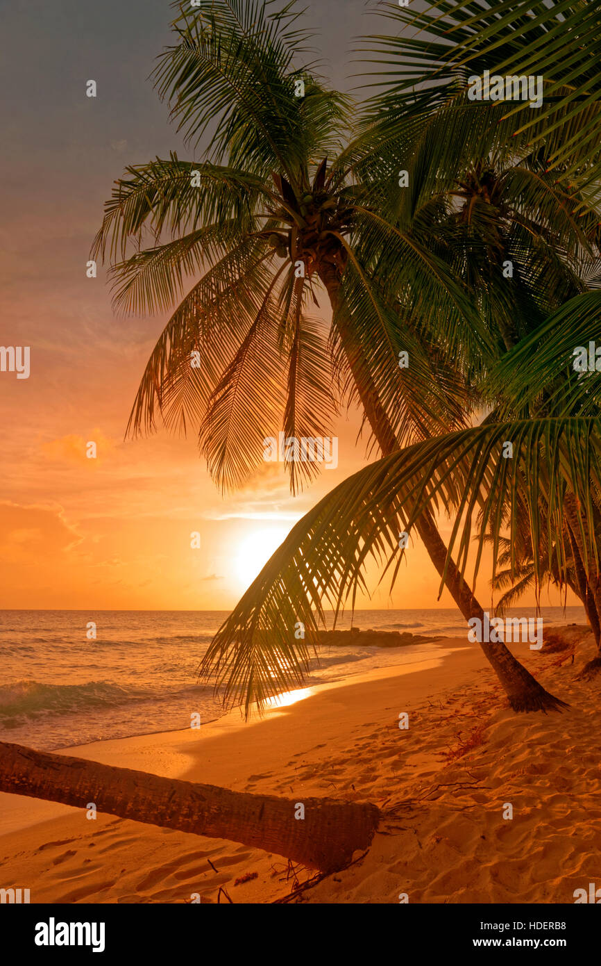 Coucher du soleil à Dover Beach, St Lawrence Gap, Côte Sud, Barbade, Caraïbes. Banque D'Images