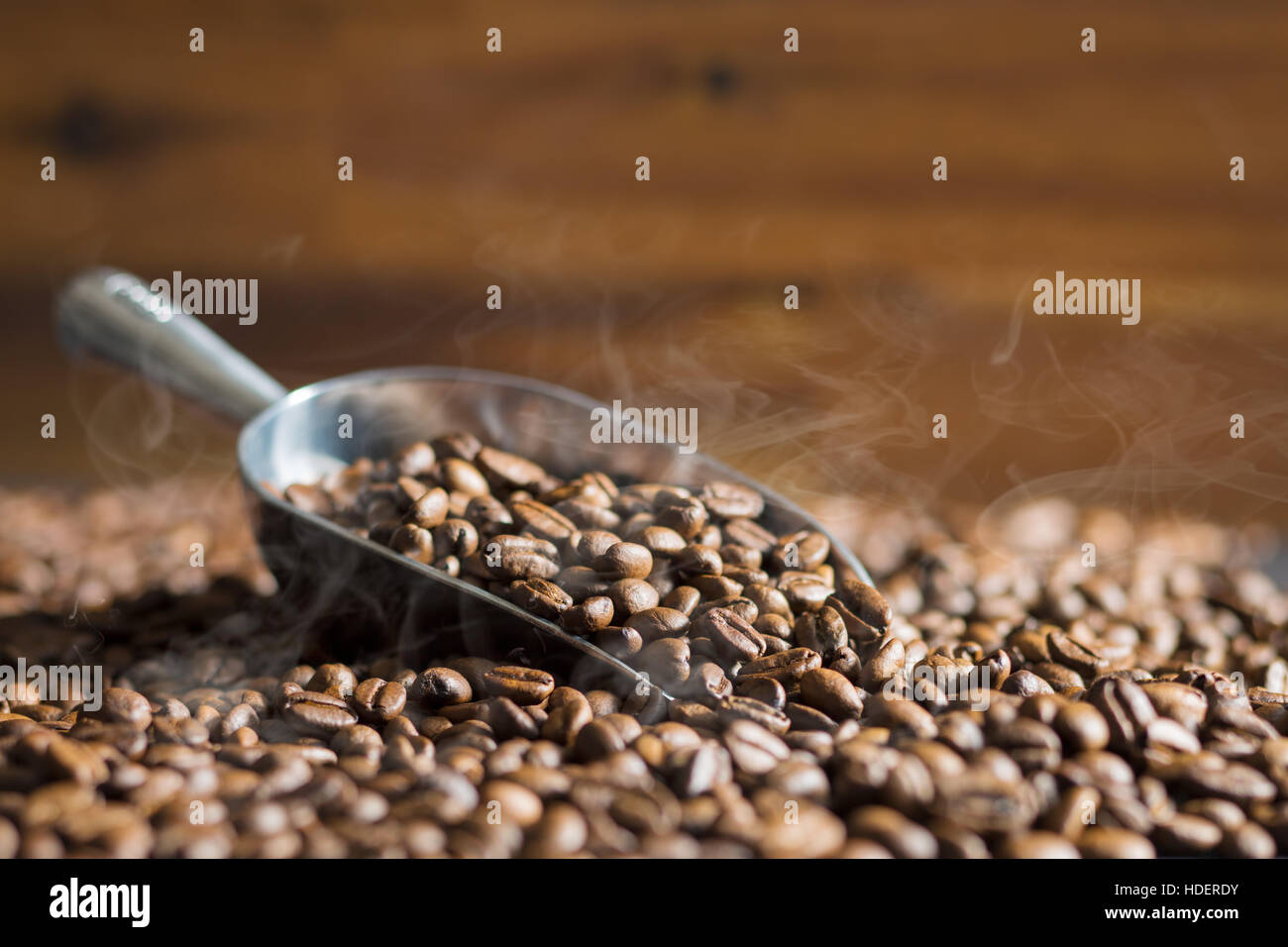 Les grains de café torréfiés et metal scoop. Banque D'Images