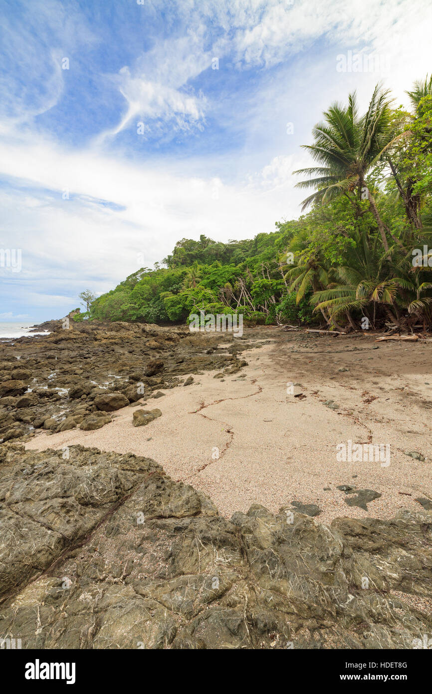 Plage de rochers et arbres Costa Rica Banque D'Images