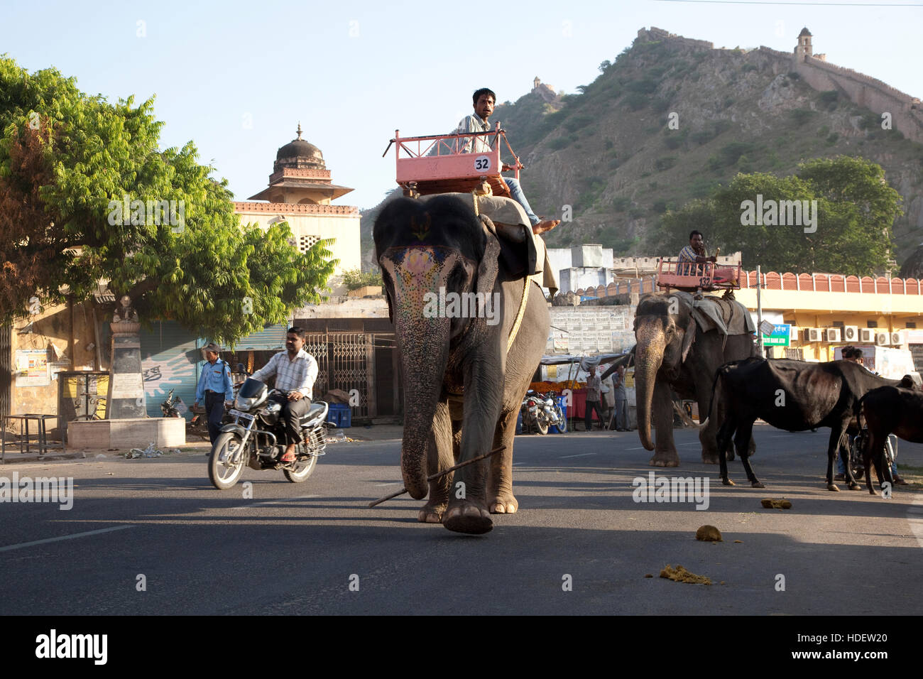 Sur le chemin de l'éléphant à Amber Fort tôt le matin, l'Ambre, district de Jaipur, Rajasthan, India Banque D'Images