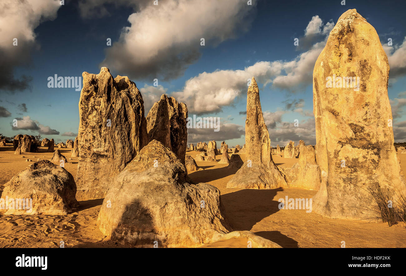 Au Désert des Pinnacles le Parc National de Nambung en Australie Banque D'Images