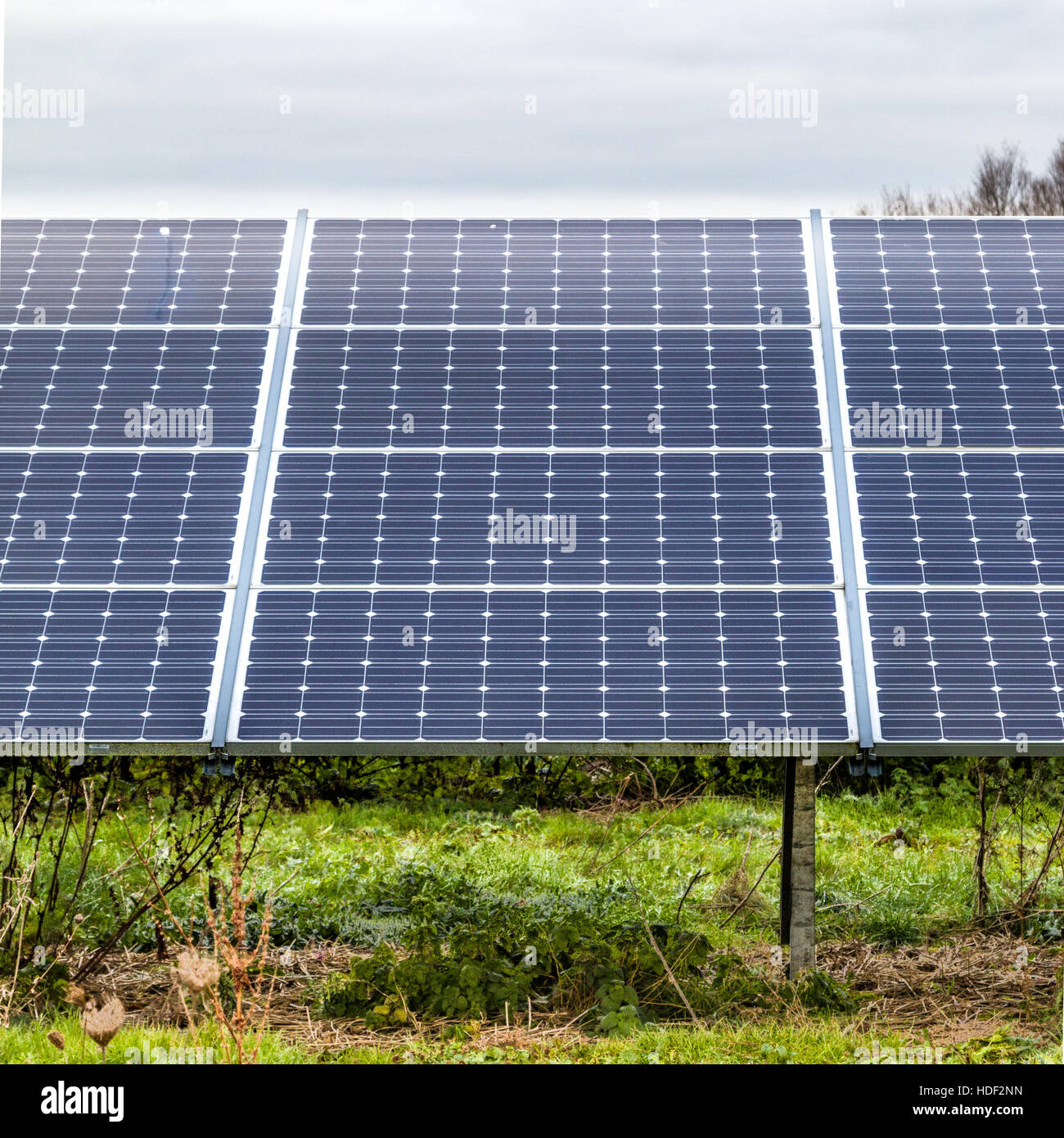 Panneaux solaires à Sudbury ferme solaire Derbyshire en Angleterre Banque D'Images