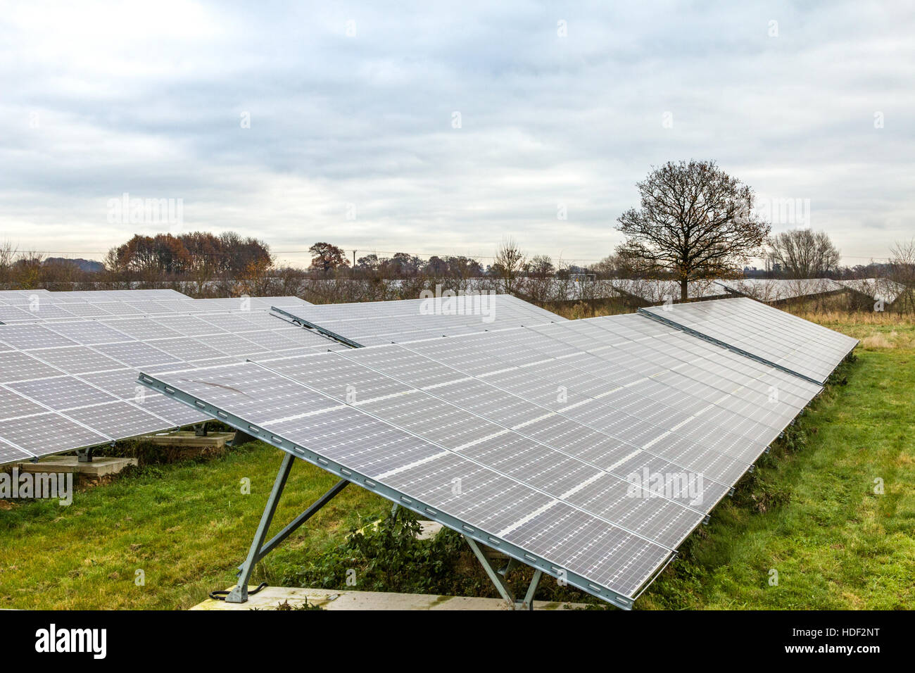 Panneaux solaires à Sudbury ferme solaire Derbyshire en Angleterre Banque D'Images