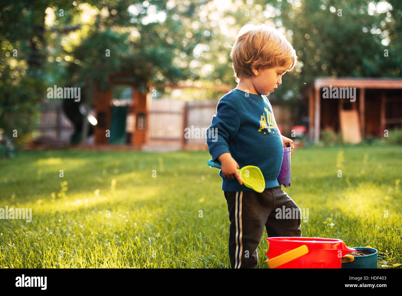 Pretty Boy sur l'aire de jeux avec seau à l'herbe sur le côté est. Banque D'Images