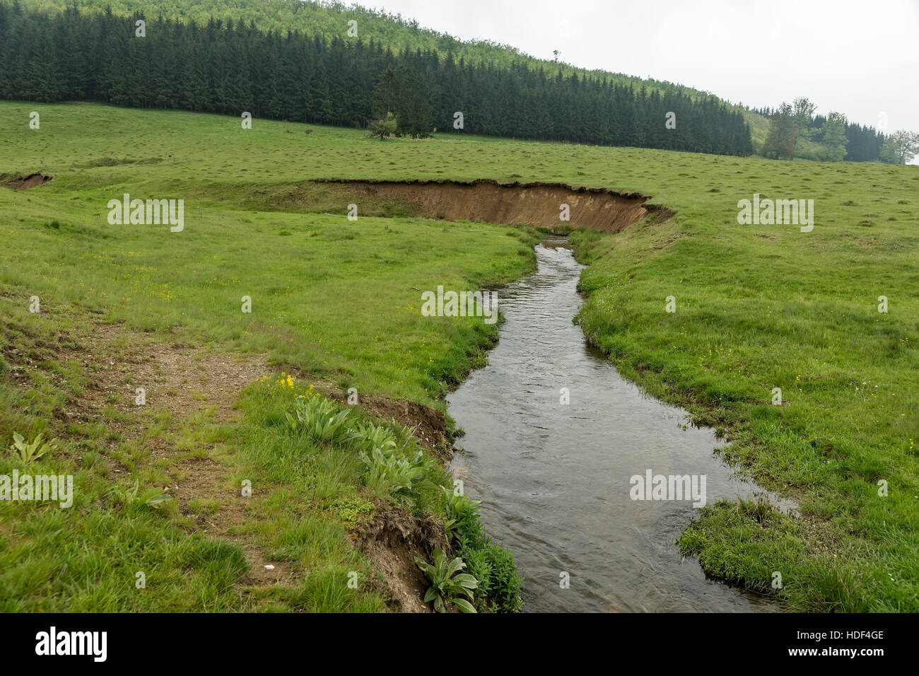 Flux sur une prairie dans le paysage des montagnes Banque D'Images