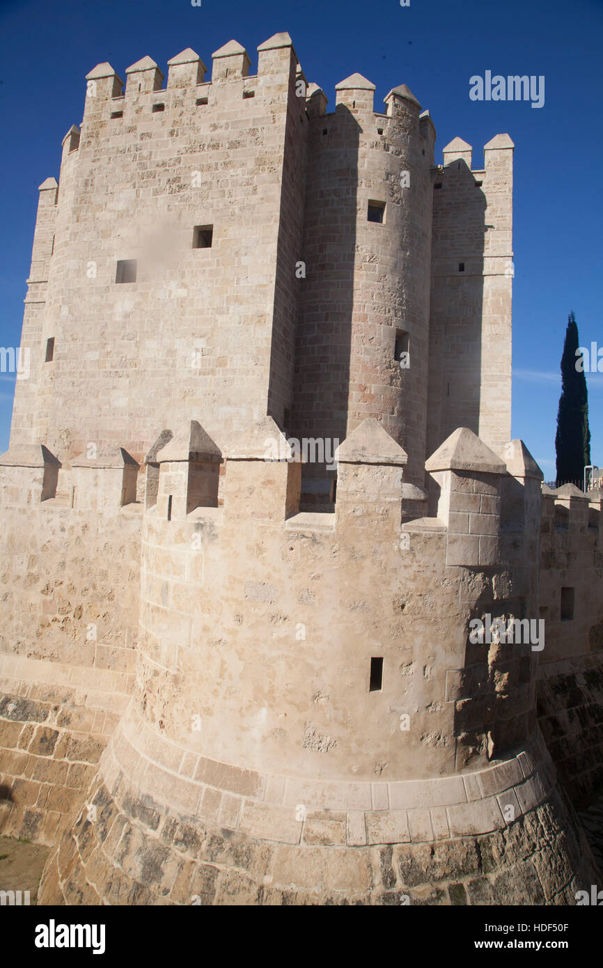 Torre de la Calahorra au sud du pont romain de Cordoue Banque D'Images
