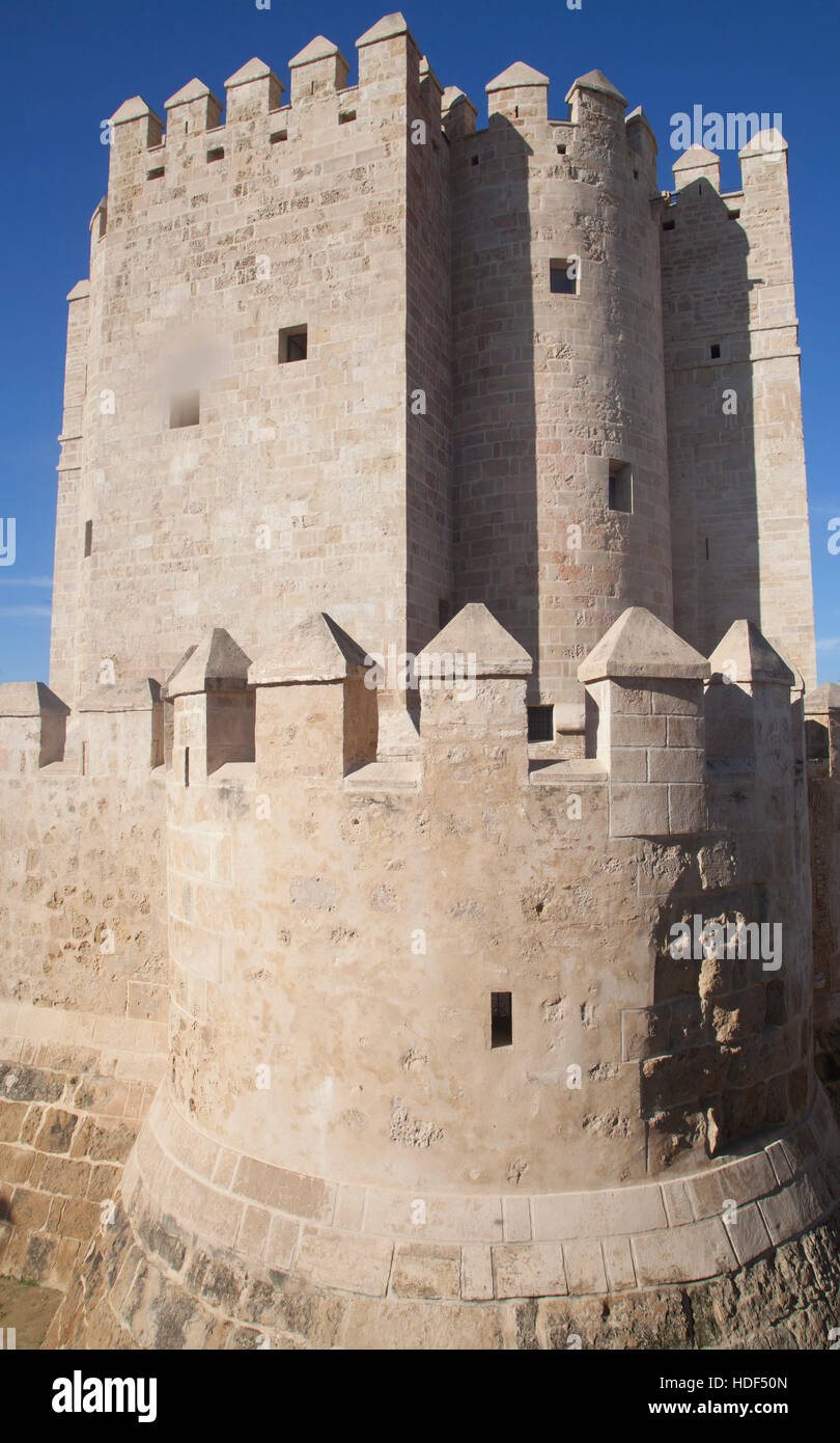 Torre de la Calahorra au sud du pont romain de Cordoue Banque D'Images